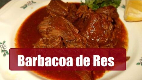 ▷ Receta de BARBACOA de Res Roja Estilo Veracruz